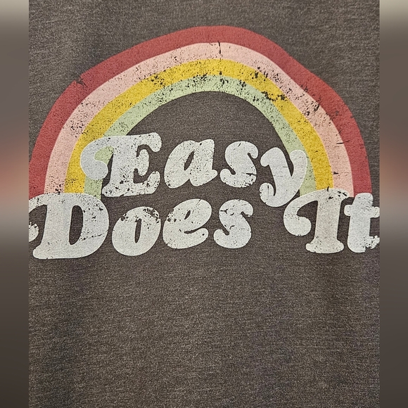 Wildfox XXL Gray Long Sleeve Sweatshirt - Picture 3 of 5